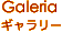 ギャラリー